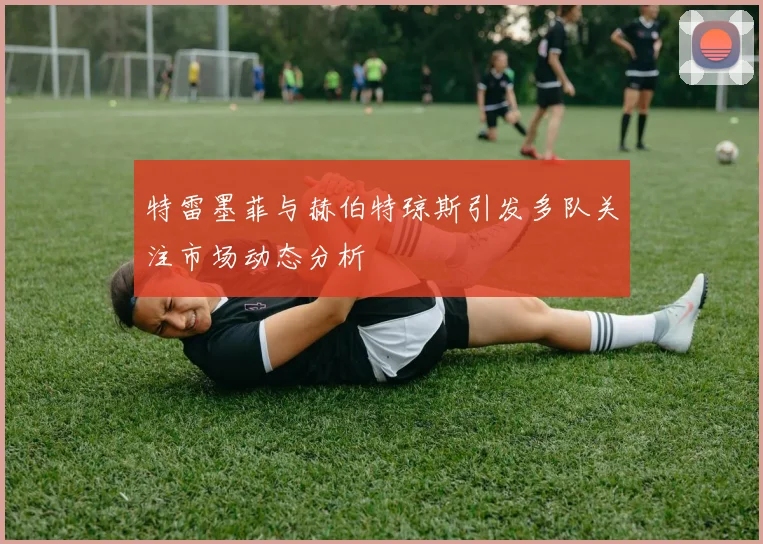 特雷墨菲与赫伯特琼斯引发多队关注市场动态分析